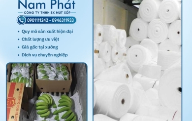 Cung ứng xốp bọc trái cây, nông sản xuất khẩu số lượng lớn theo tiêu chuẩn GlobalGAP