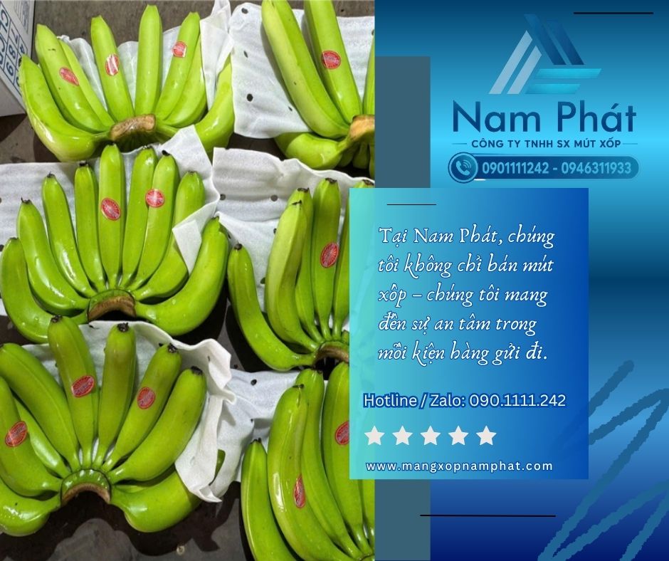 Màng PE foam đục lỗ thông khí bọc nông sản giá sỉ là lựa chọn phù hợp cho nhiều loại trái cây nhờ trọng lượng nhẹ, bề mặt mềm, dễ gia công và có thể tạo lỗ thông khí theo yêu cầu.