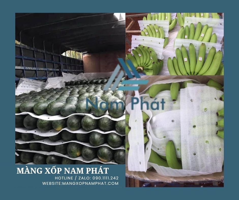 Để giải quyết triệt để bài toán này, mút xốp PE foam bọc trái cây xuất khẩu đã trở thành giải pháp bao bì đệm lót chuyên dụng, đóng vai trò như lớp giáp bảo vệ giúp giữ trọn vẻ ngoài tươi ngon và giá trị thương mại cho nông sản Việt.