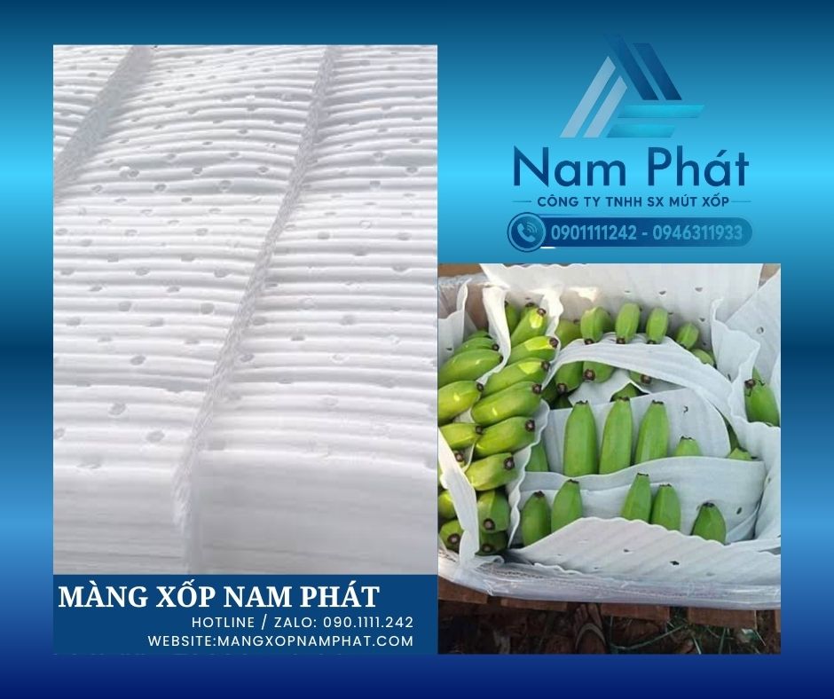 Việc tìm kiếm địa chỉ gia công mút xốp PE foam đục lỗ bọc nông sản chất lượng cao, giá thành tận gốc và đáp ứng tiến độ nhanh chóng luôn là ưu tiên hàng đầu.