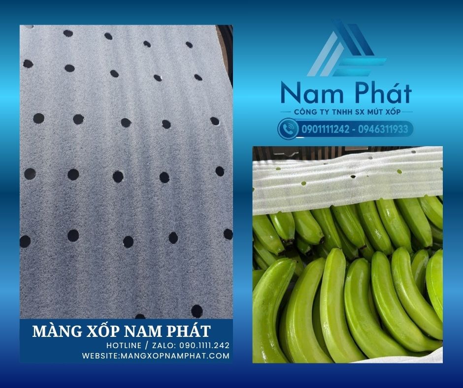 Màng PE foam đục lỗ thông khí bọc nông sản giá sỉ là vật liệu đóng gói được sử dụng ngày càng phổ biến tại các nhà vườn, cơ sở thu mua, kho sơ chế, hợp tác xã, doanh nghiệp phân phối và đơn vị xuất khẩu trái cây.