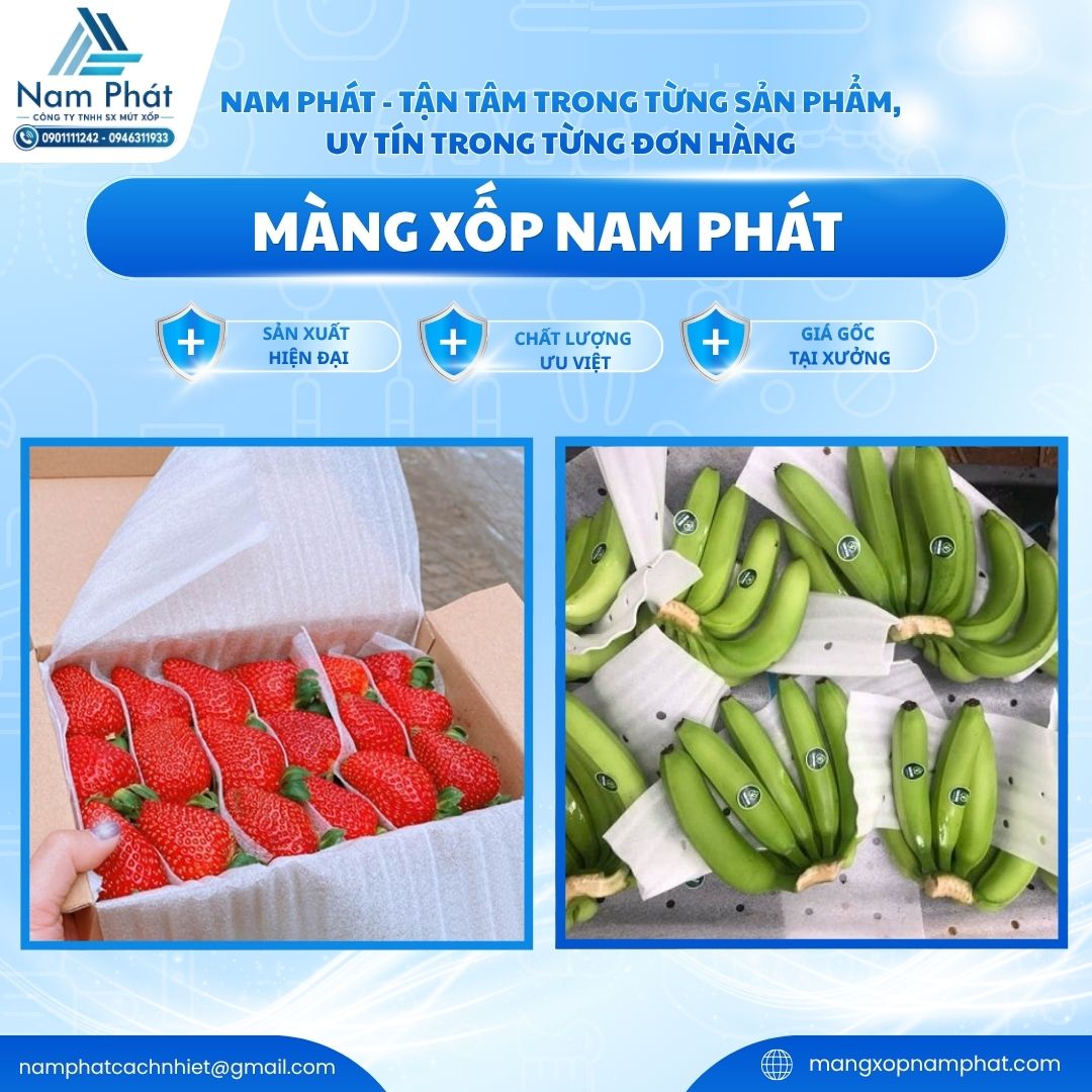 CÔNG TY TNHH SẢN XUẤT MÚT XỐP NAM PHÁT mang đến giải pháp mút xốp PE foam đục lỗ thông hơi bọc nông sản xuất khẩu đạt chuẩn GlobalGAP. Với năng lực nhà máy sản xuất trực tiếp quy mô lớn tại khu vực phía Nam